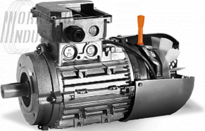 Трехфазные асинхронные электродвигатели АИР со встроенным электромагнитным тормозом